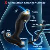 Vibrating Prostate Massager with Dual Cock Rings, Heated Anal Vibrator for Men with Remote, Male Vibrating Butt Plug