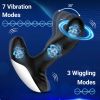 Remote Control Prostate Massager, Heating Dual Motor Vibrating Butt Plug for Men Women, Waterproof